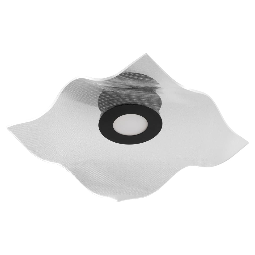 Ceiling Mounts